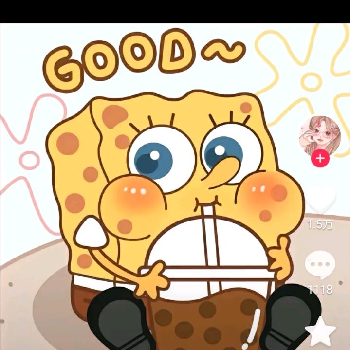 爱做手帐的小饭团🐼