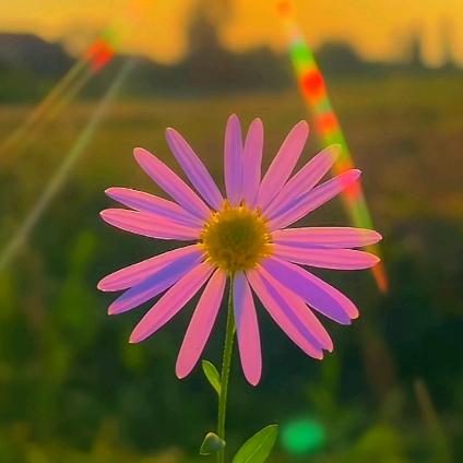婉清（机械加工）