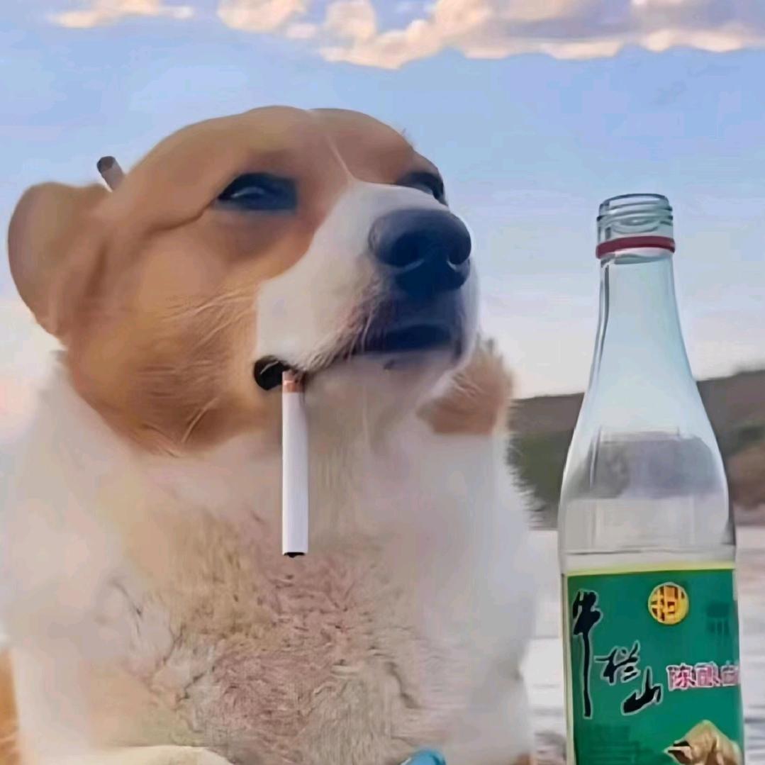 王者小杰（努力上荣耀）