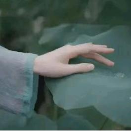 💦心如止水💦