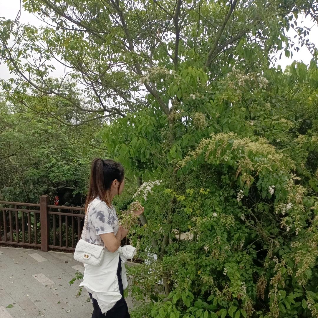 想要的自己挣哦