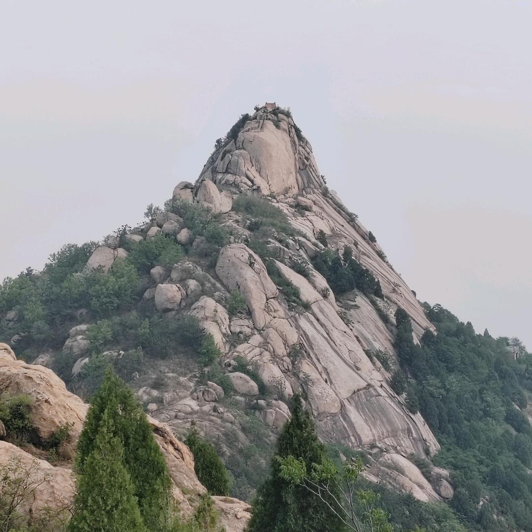向阳鱼儿赵