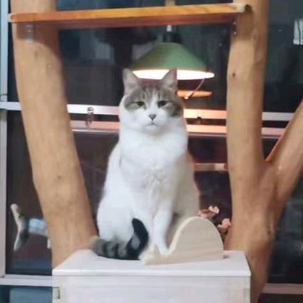 人型大猫猫