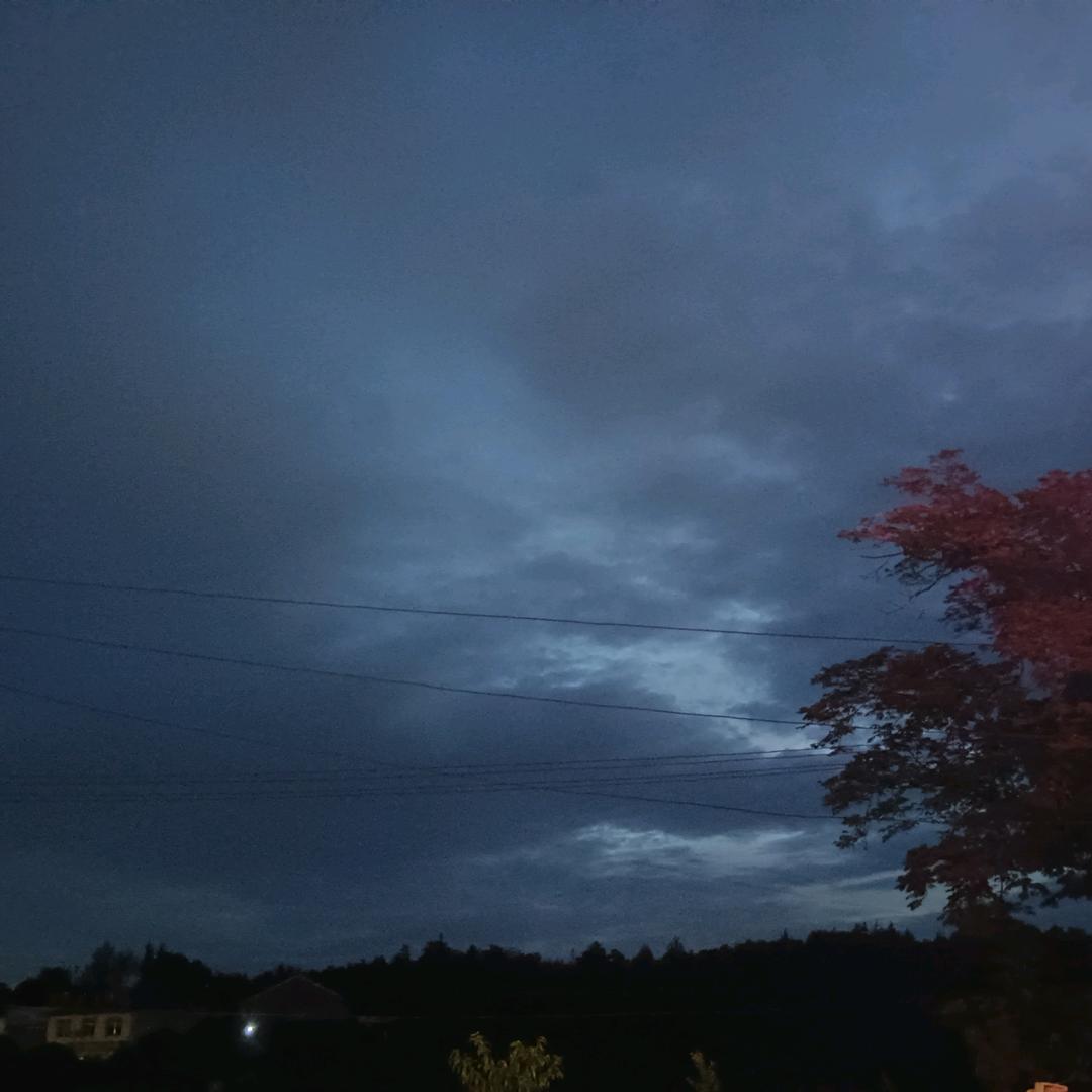 @妤子◆薇眠