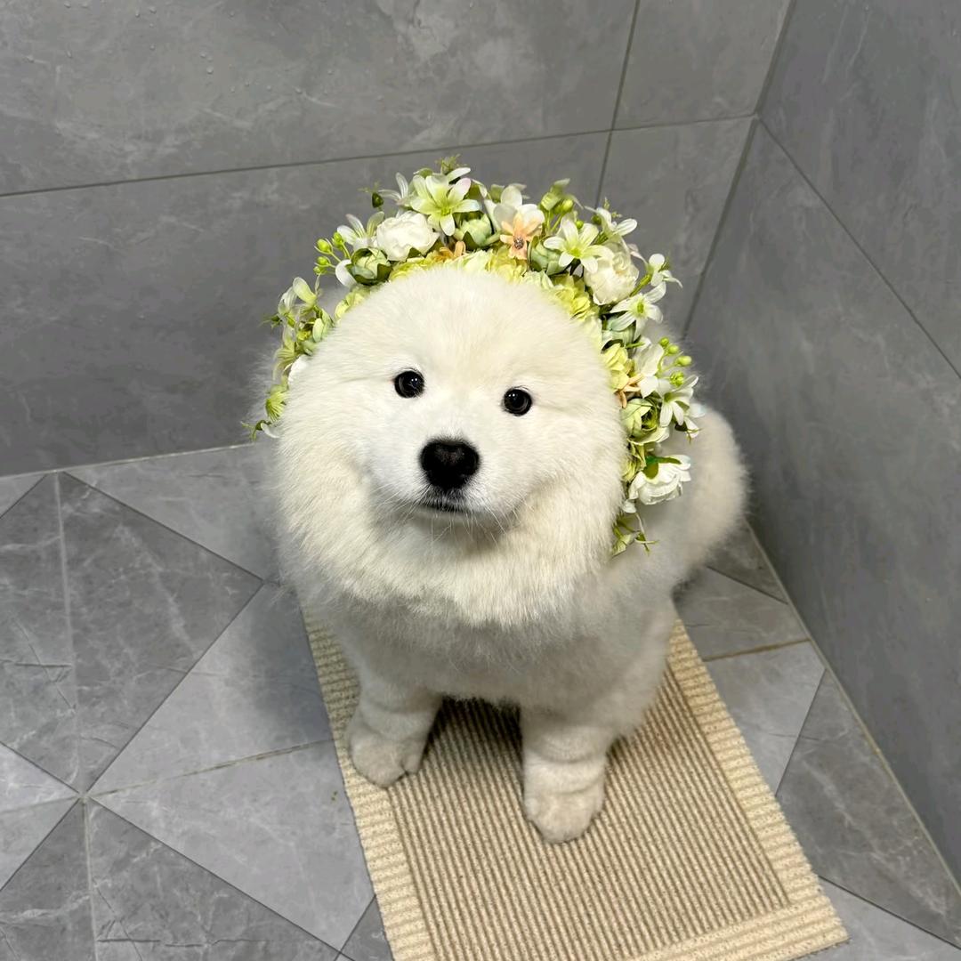听你的歌