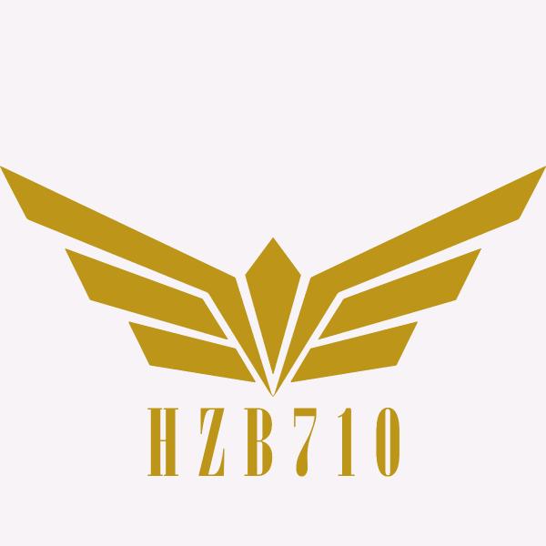HZB710🚀