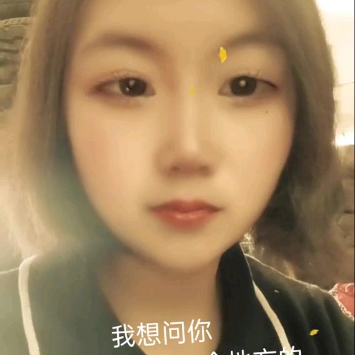 🌻小凤凰🌻