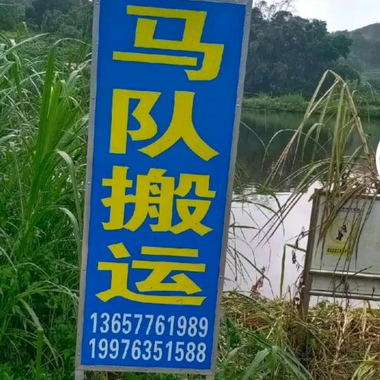 ໑ຼ₀₂5ღ余生安好(马队运输队)