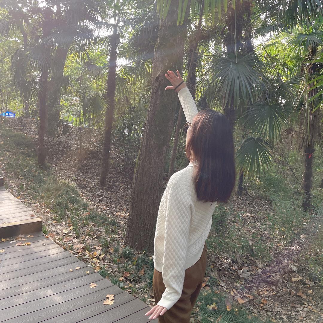 向日葵🌻🌻