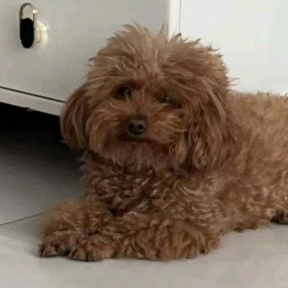 小欣不是欣宝