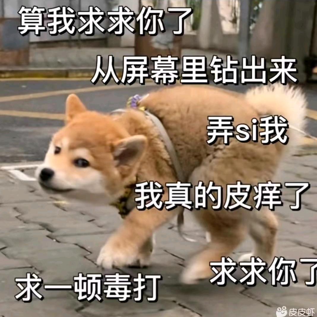 晚安玛卡巴卡c