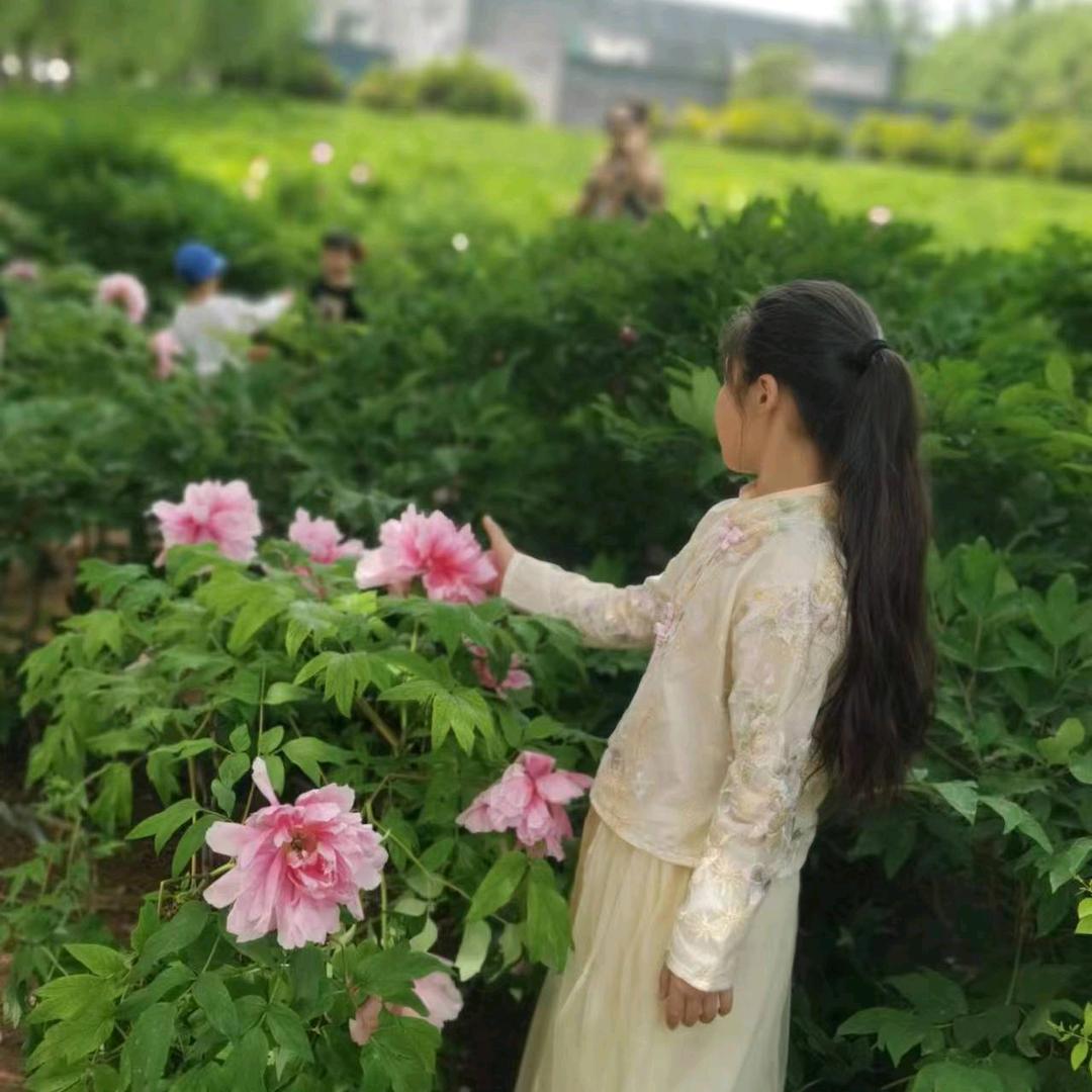 🐝🍀晓钰🌻