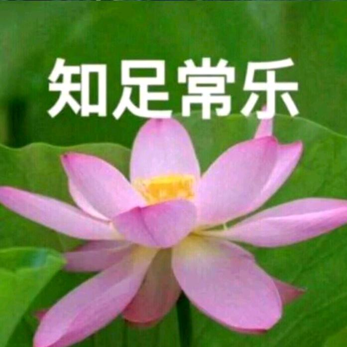 铜陵卢氏小包包