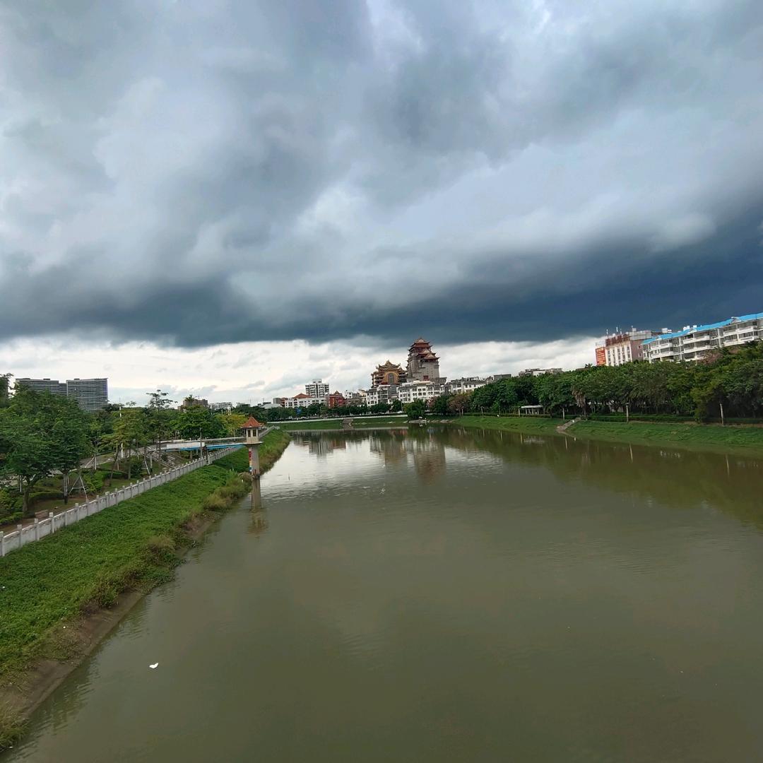 🌈（单了个🐶）