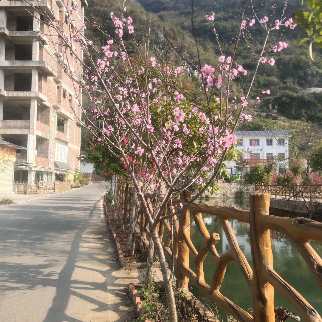我行我素