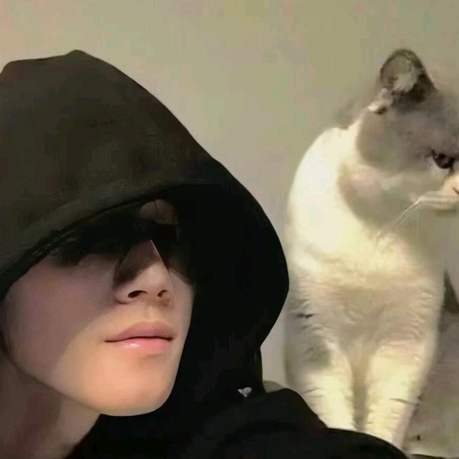 凌晨看的那片海