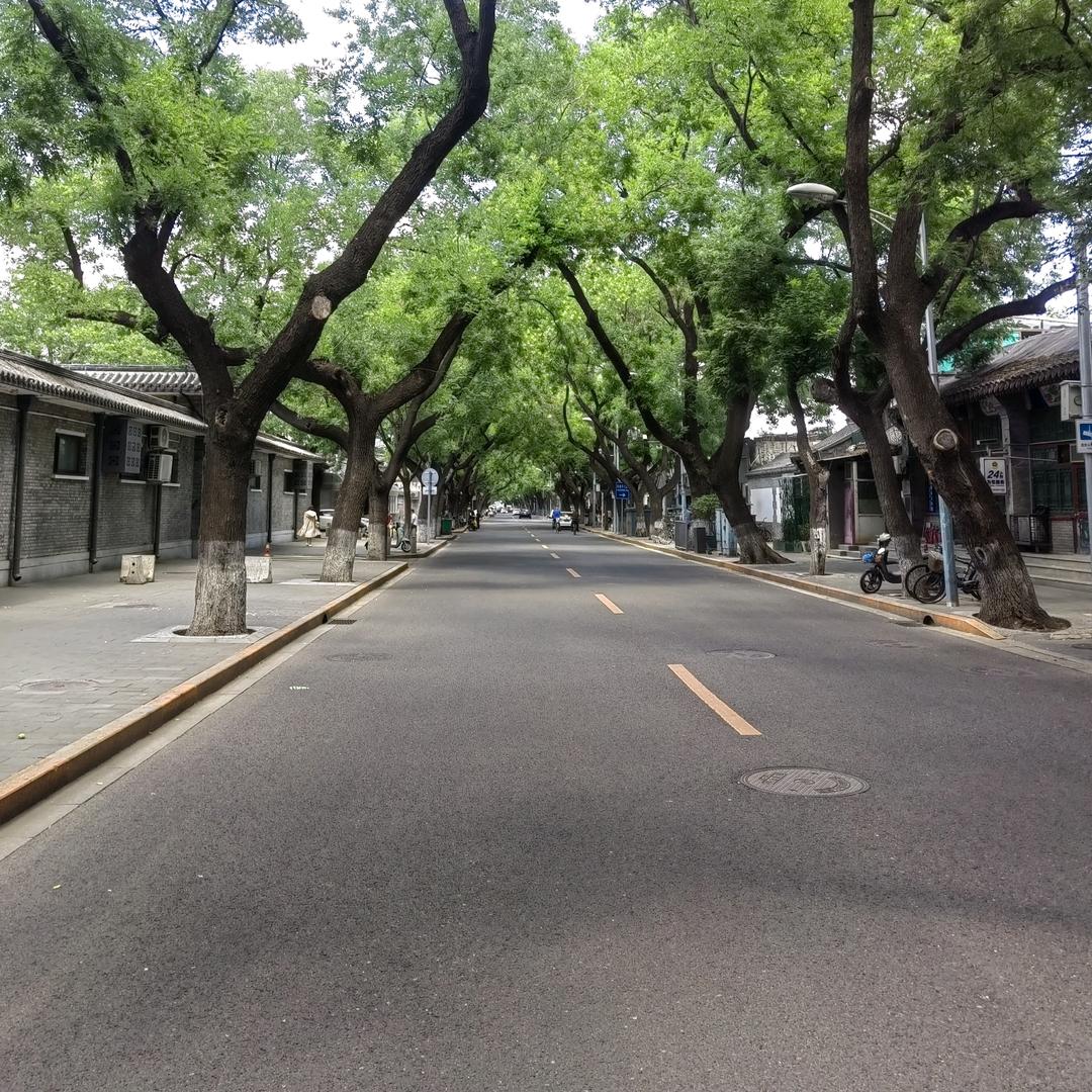 小小强