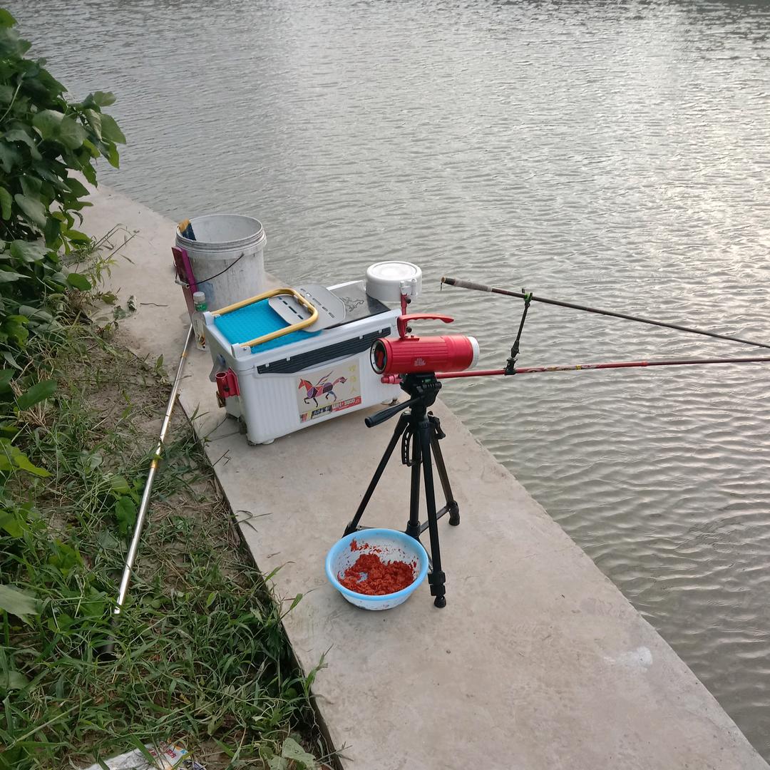 钓界 🐟 鱼不渴