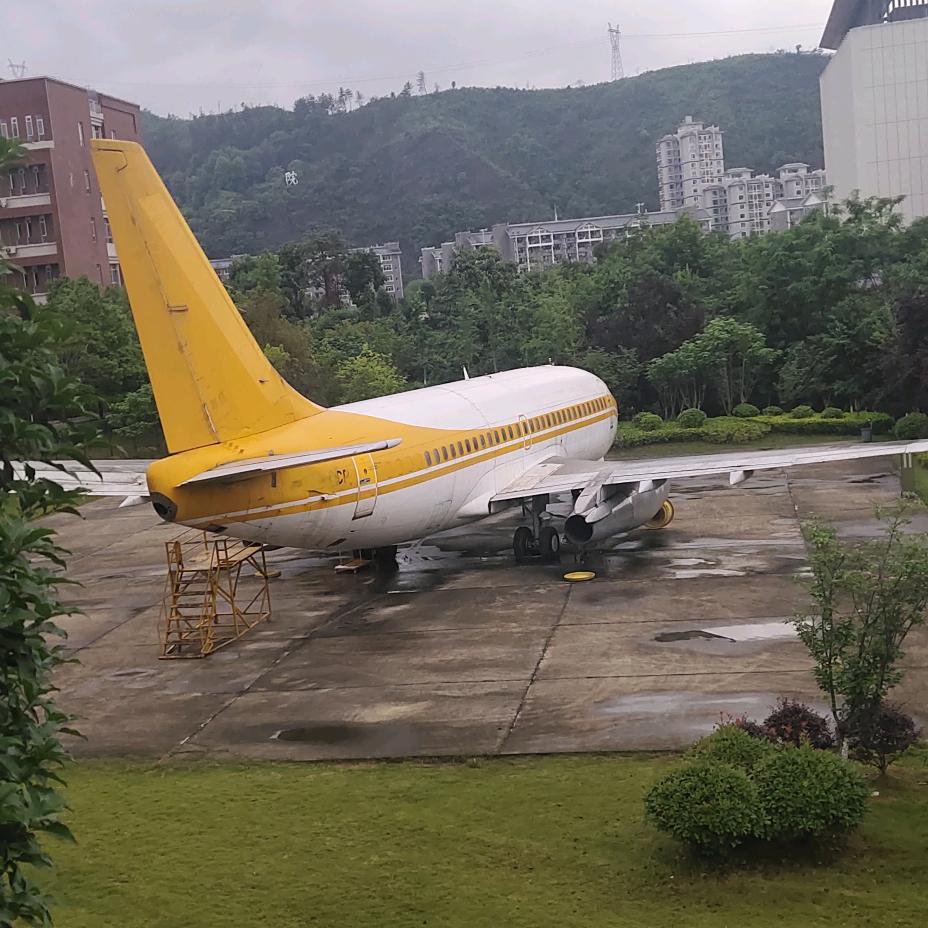 阳光88