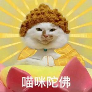 7788
