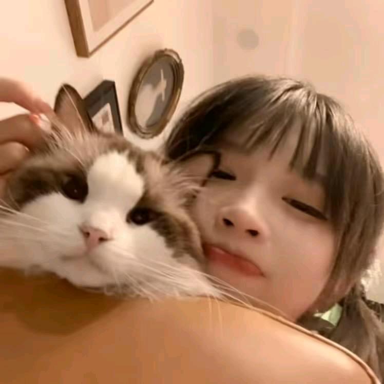 忘川🥥