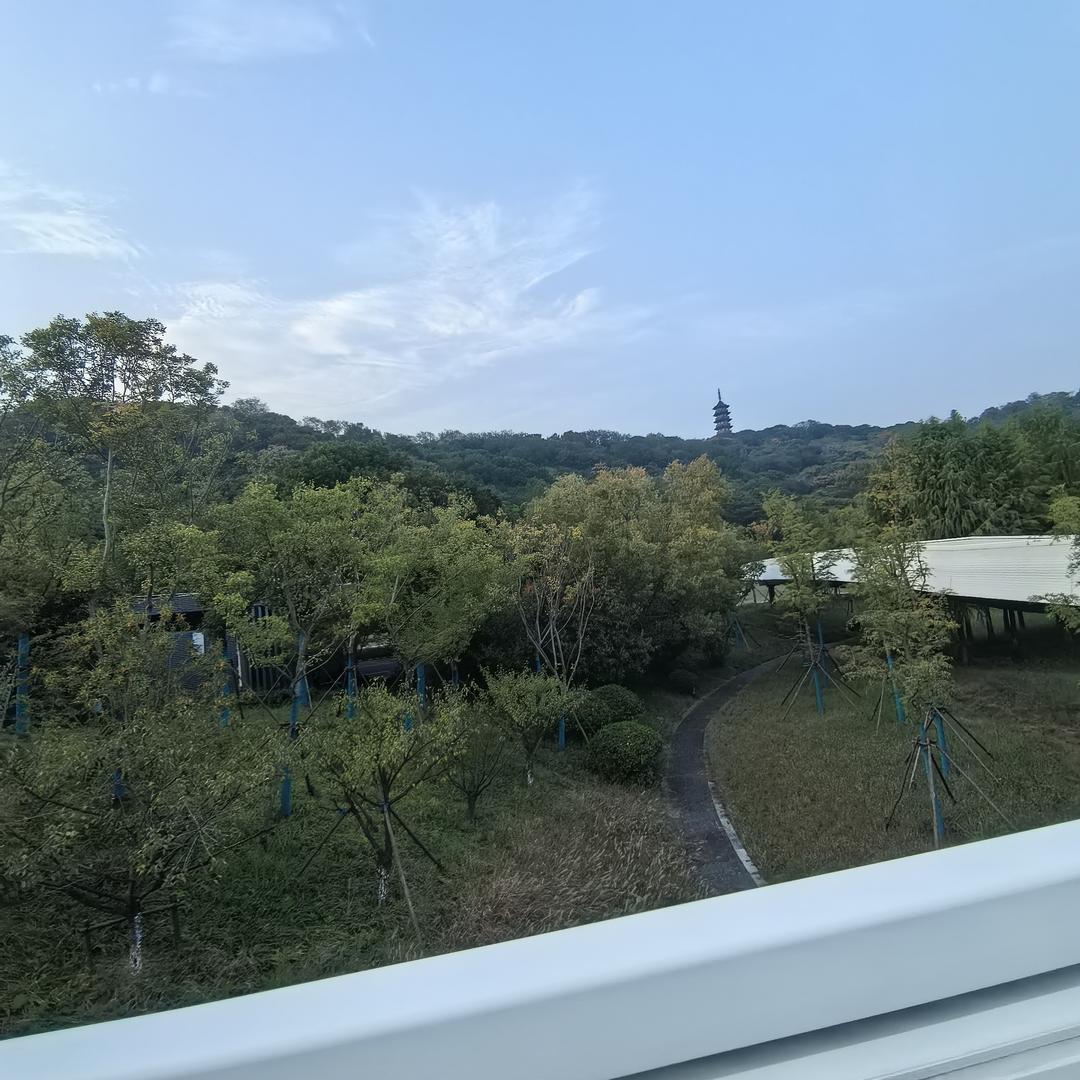 相思入骨情入魂🌹