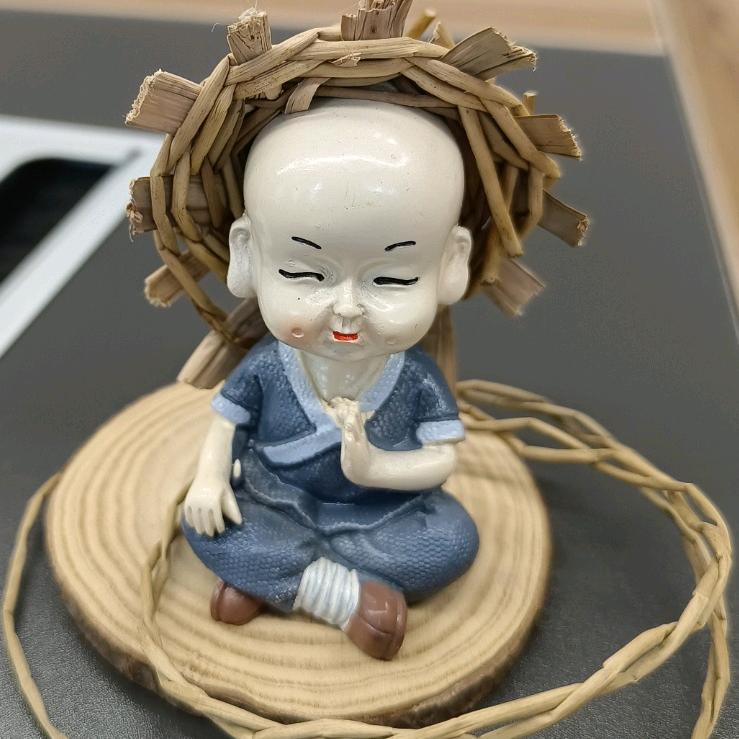 大胖橘