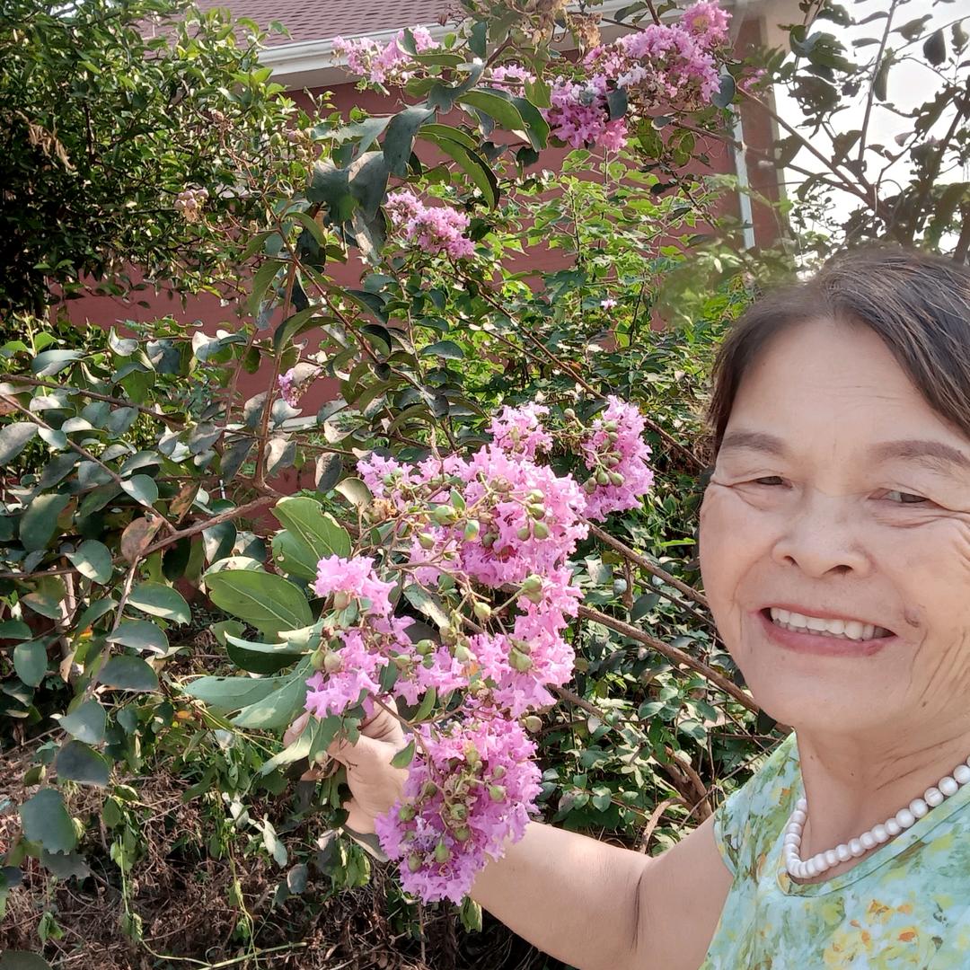 陈六孃