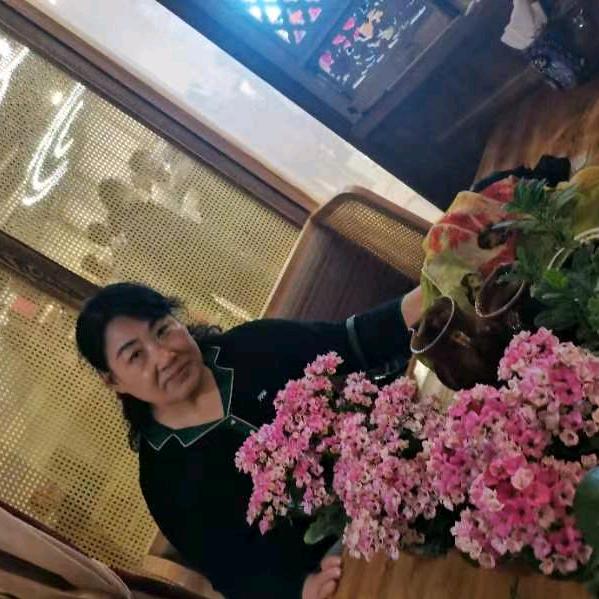 河北梆子戏韵乡音