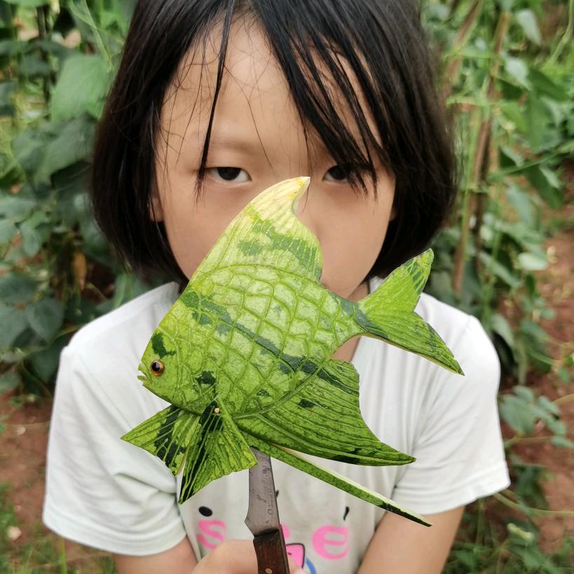 刘哥与儿女的日常