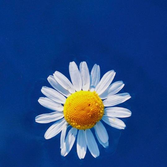 🌈幸福的大扔子