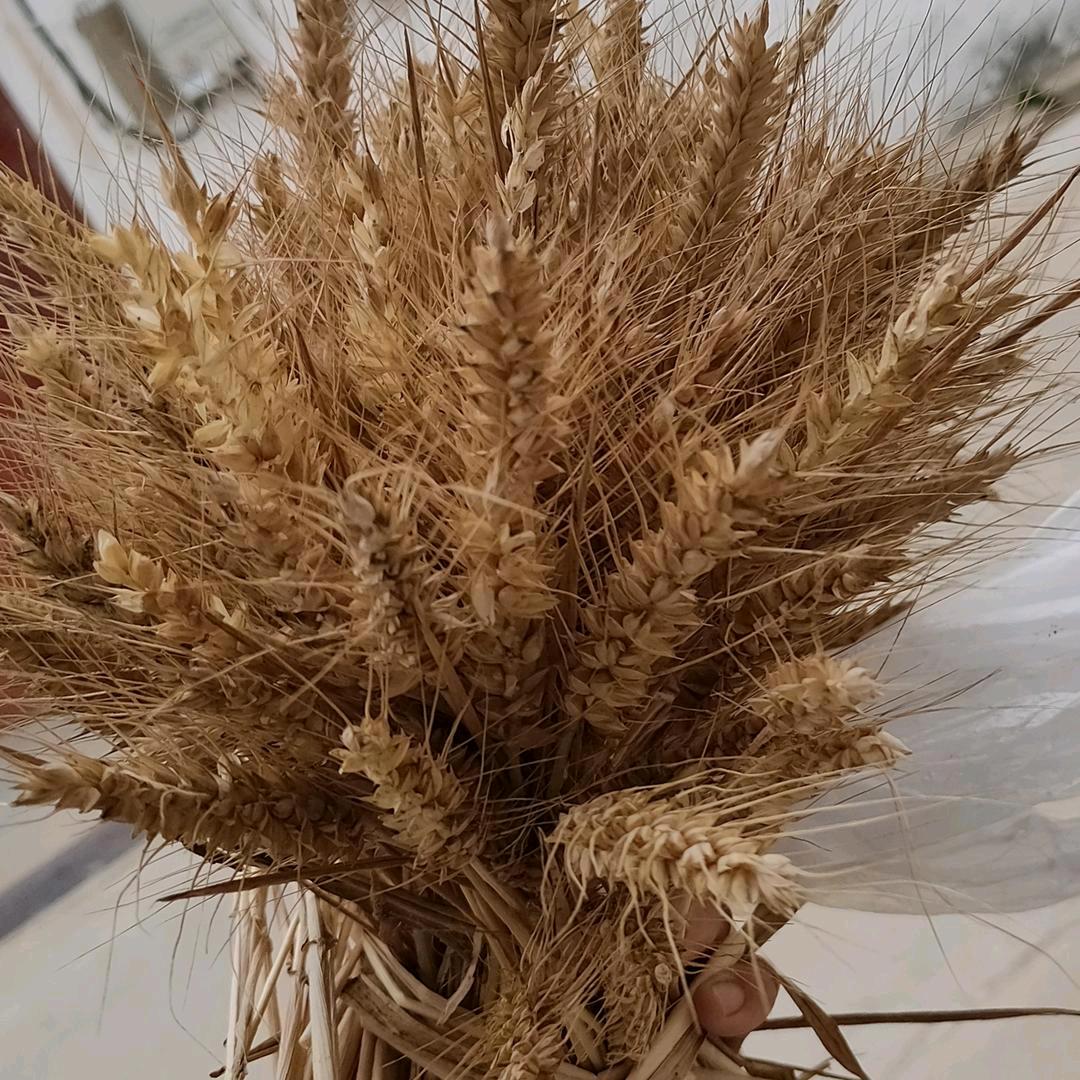 @小草