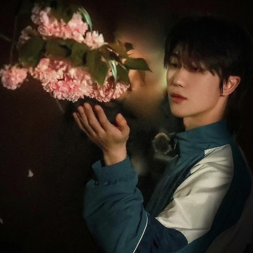 爱刷碗的仓鼠◠‿◠