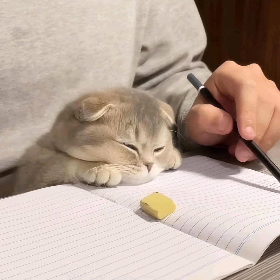 牵着蚂蚁去散步.