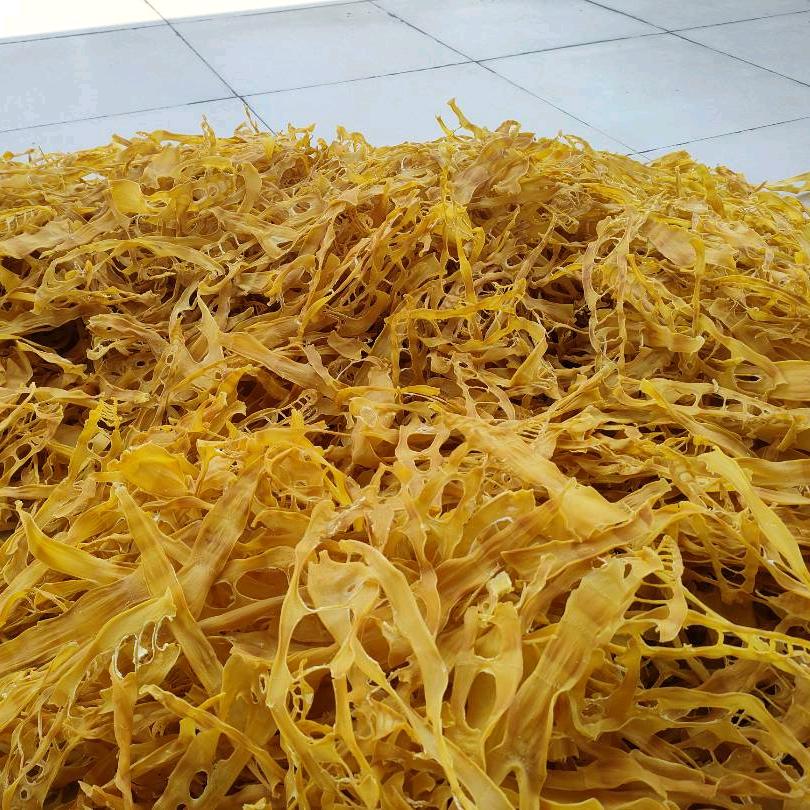 金东岭绿色竹笋