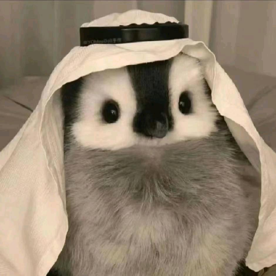 拉拉拉王