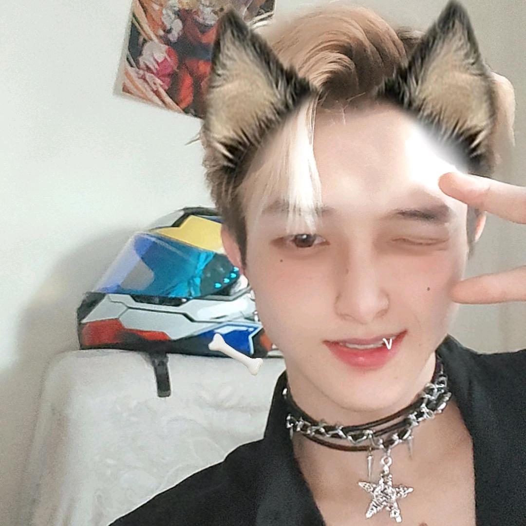 岁岁平安岁岁安