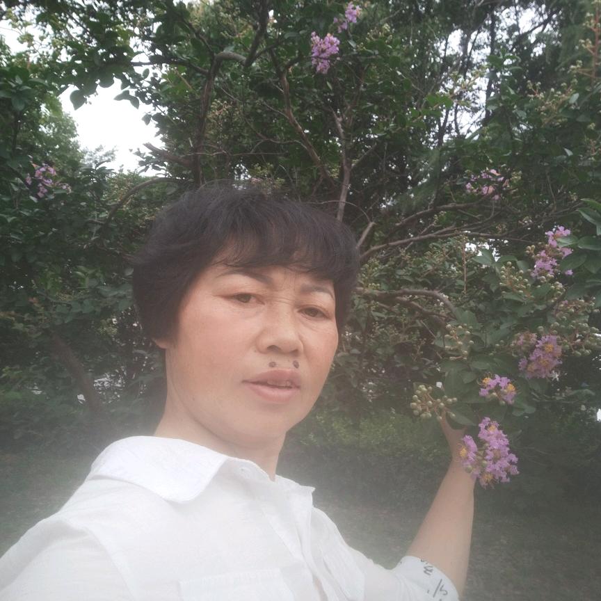 小杨姐