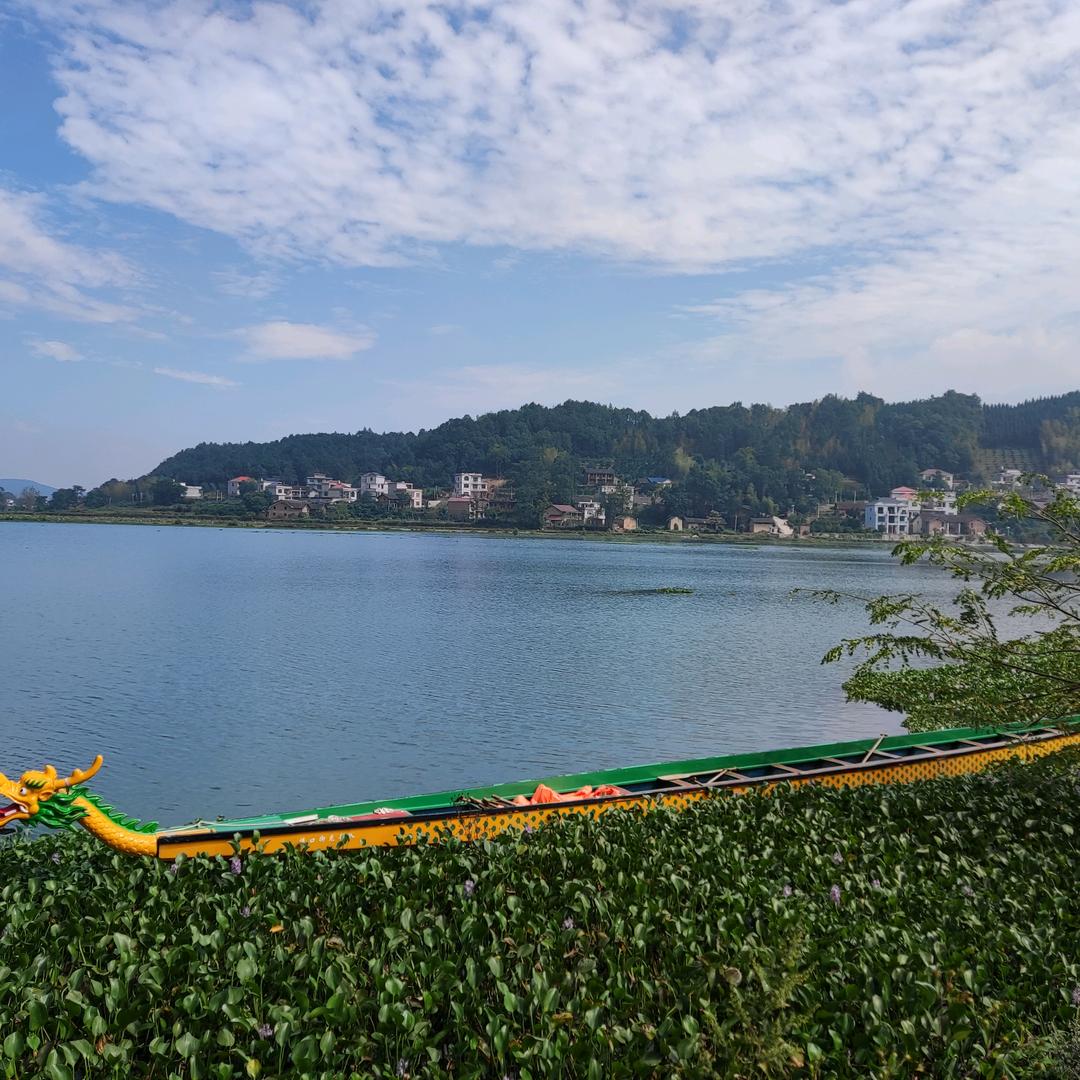 东方野
