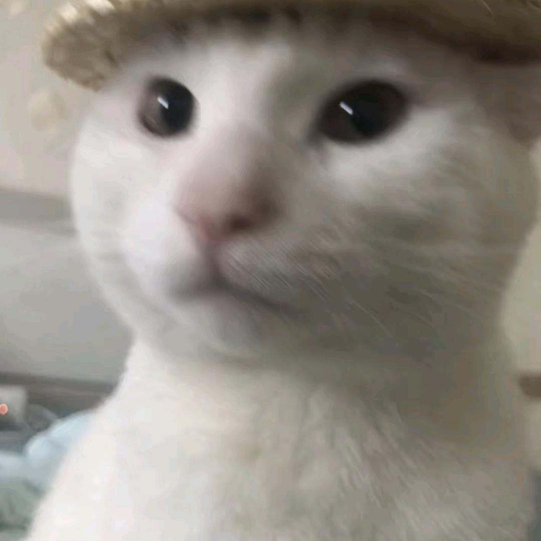 念安