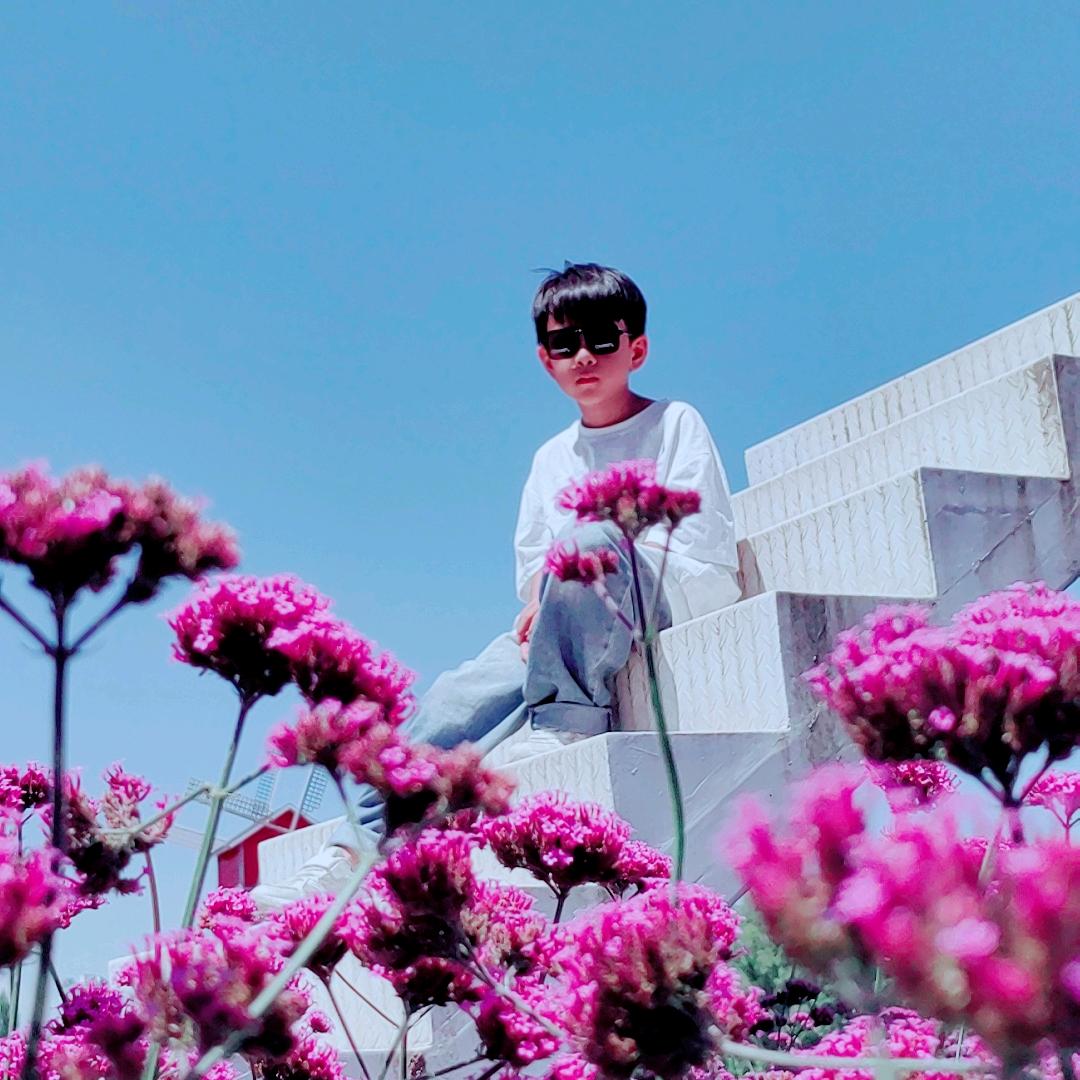 芯宇