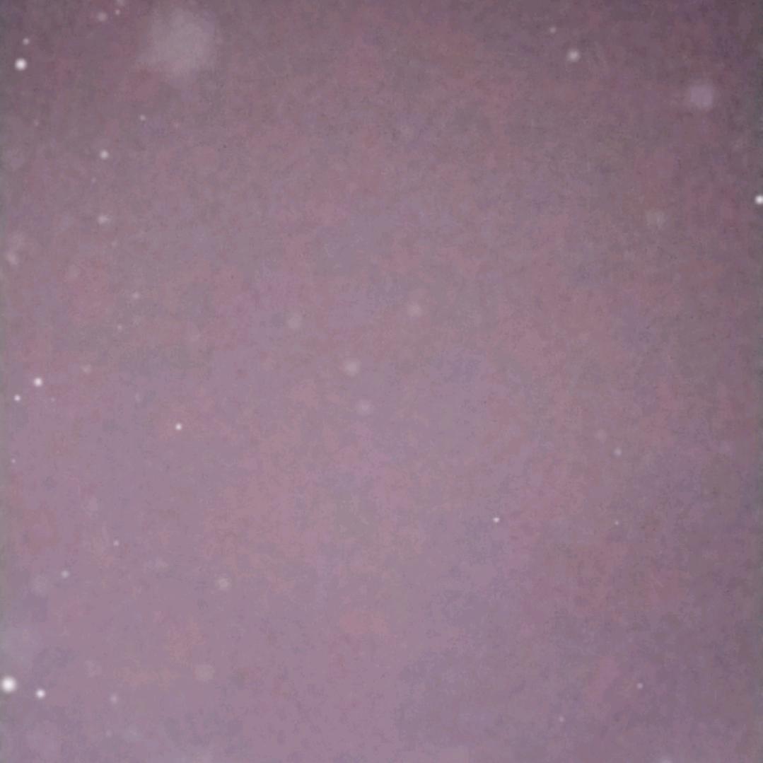 小邱