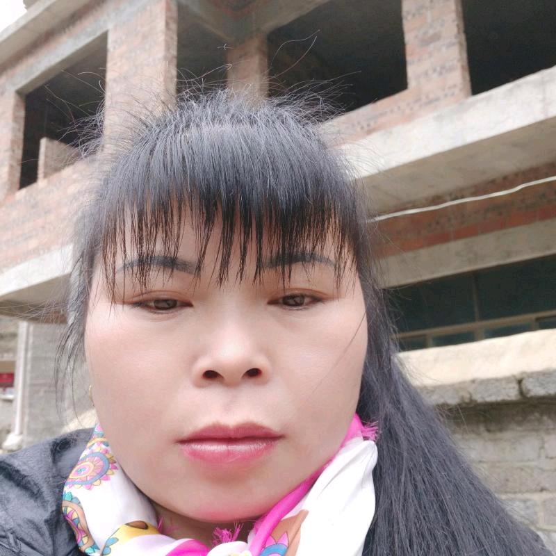 我心飞翔