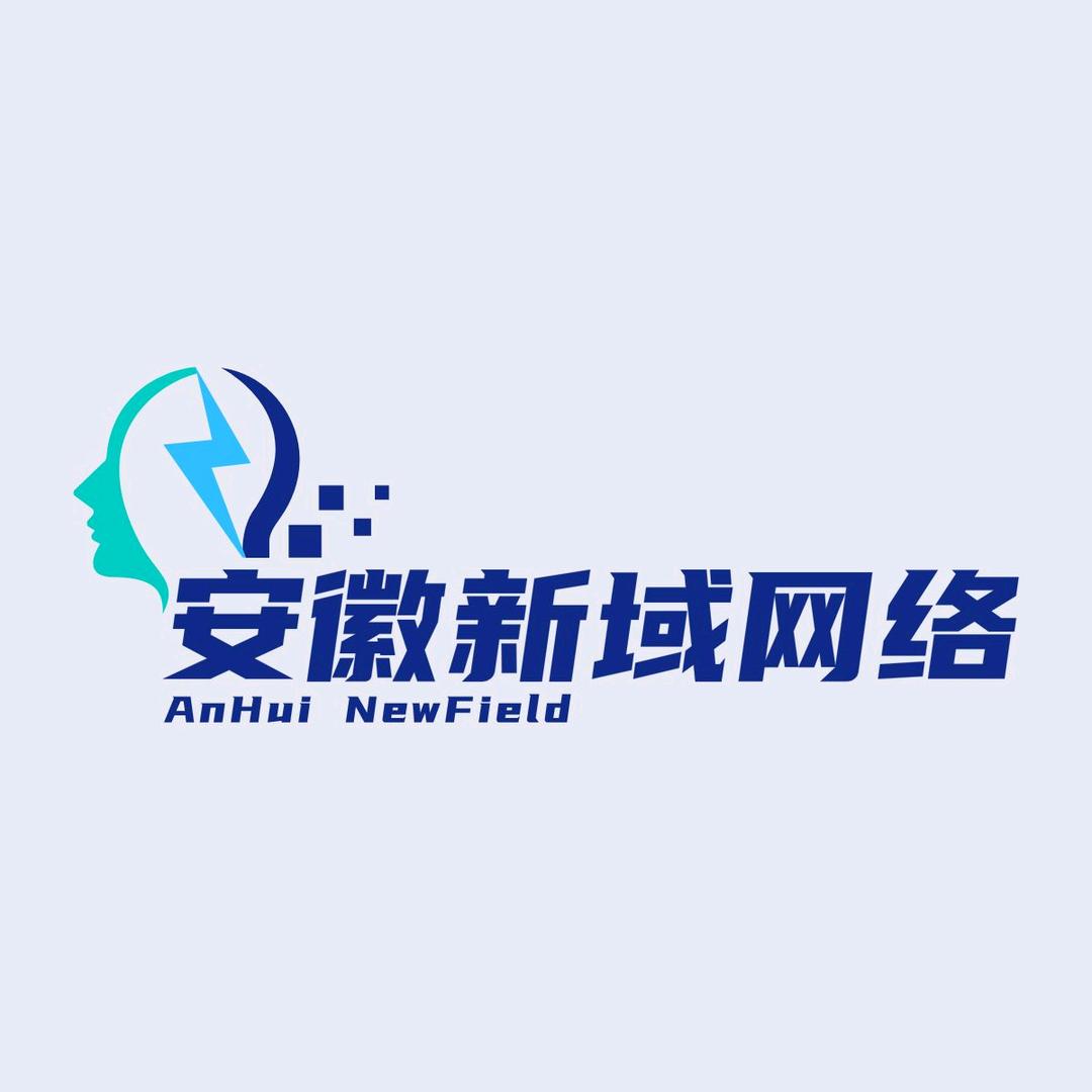 新域网络