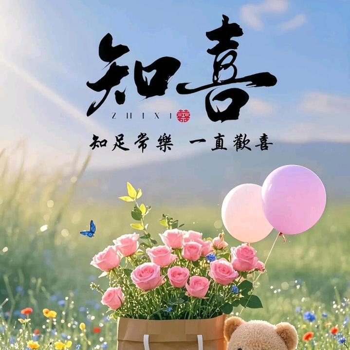 何以笙箫默