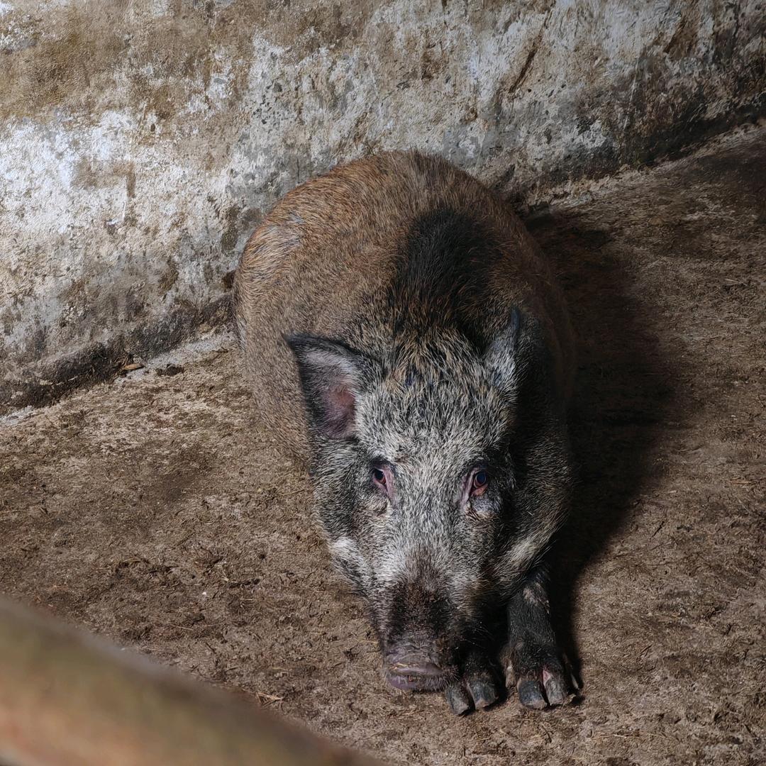 林涧牧野」生态农场
