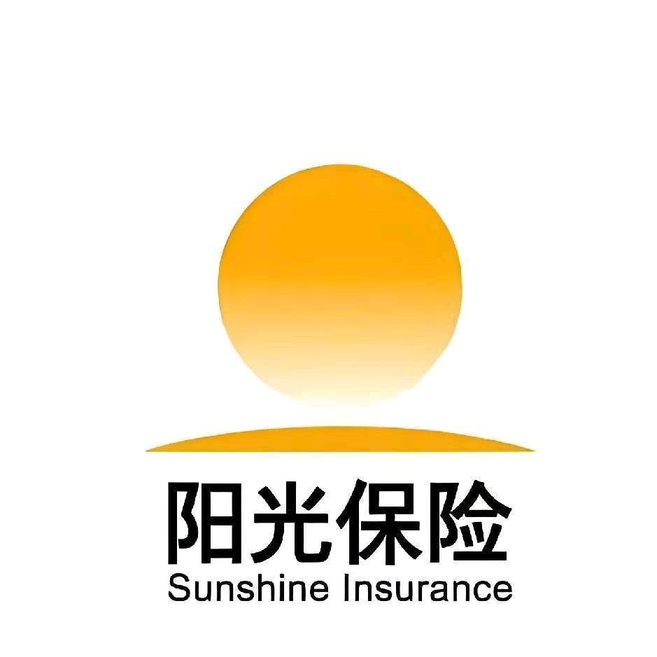 阳光人寿保险，罗留振