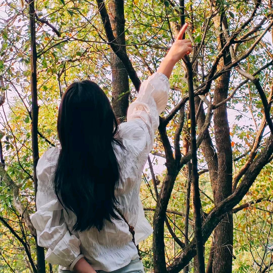木易楊🍀