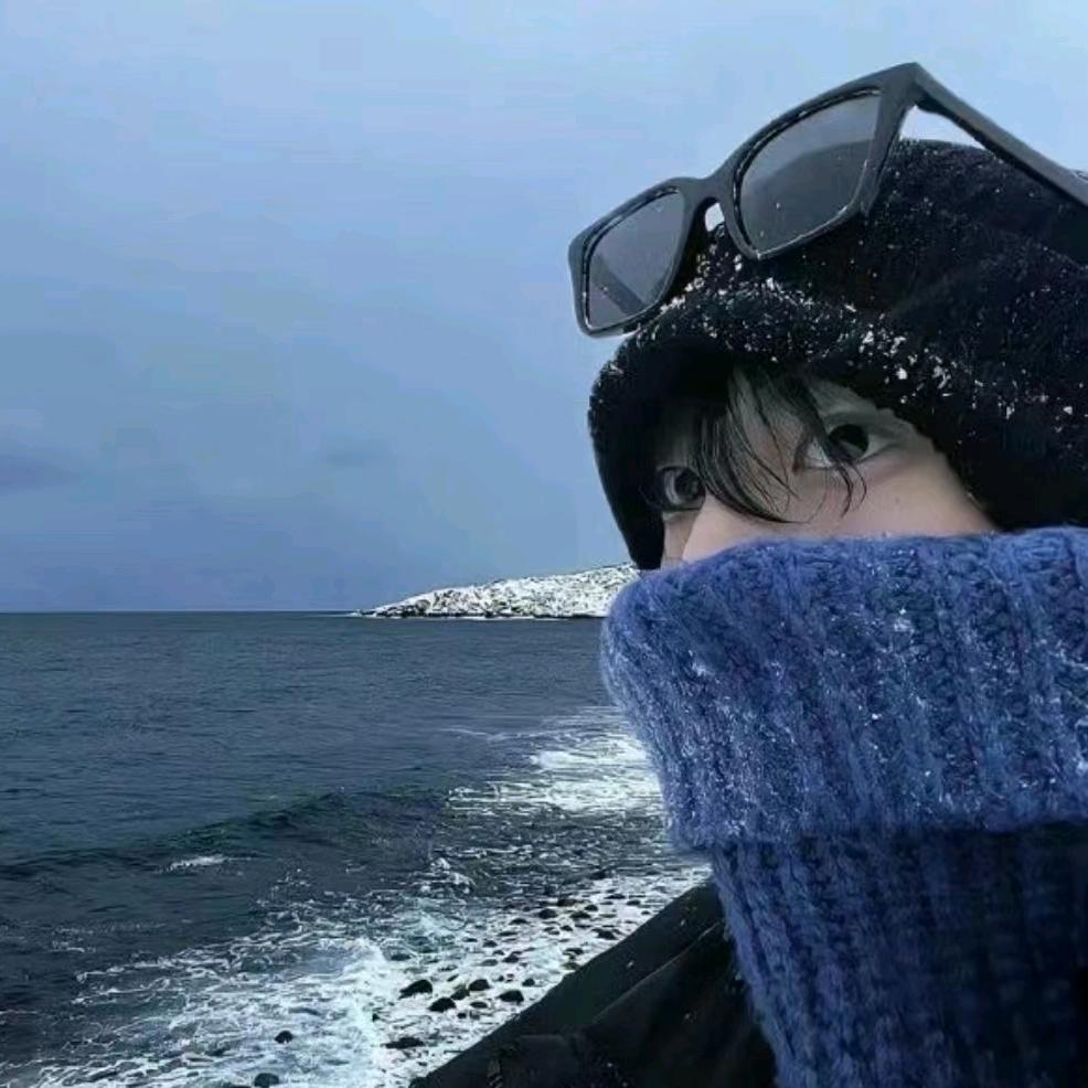 海登树叶🍃