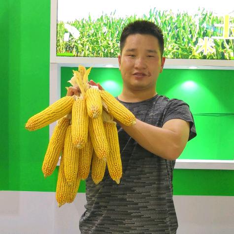 种业小赵